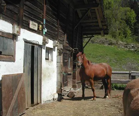 Panzió Holiday B&B Anita