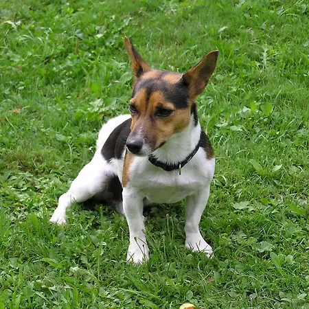 Panzió Holiday B&B Anita